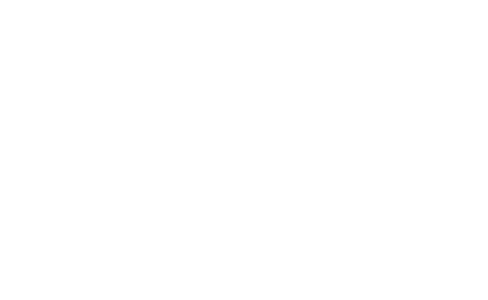 LCV Victory Fund